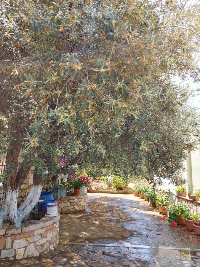 Vila Rexhaj Ksamil Dış mekan fotoğraf